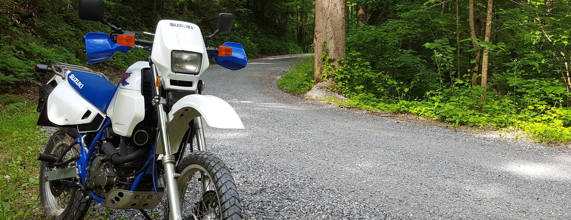 White Suzuki dual-sport on a forest gravel road